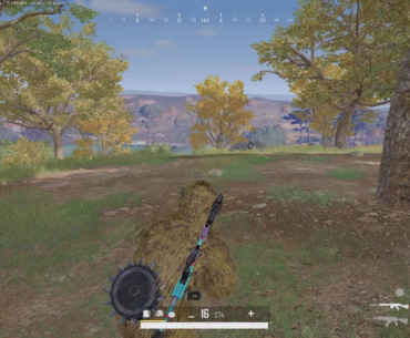 Ghillie + Suppressor’s = BR Ninja !
