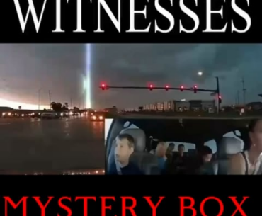 Family Witnesses Change of Mystery Box!