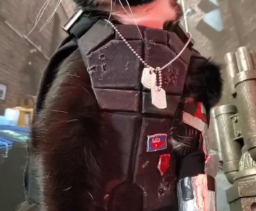 Rate my cosplay