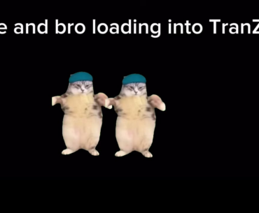 Average TranZit experience: