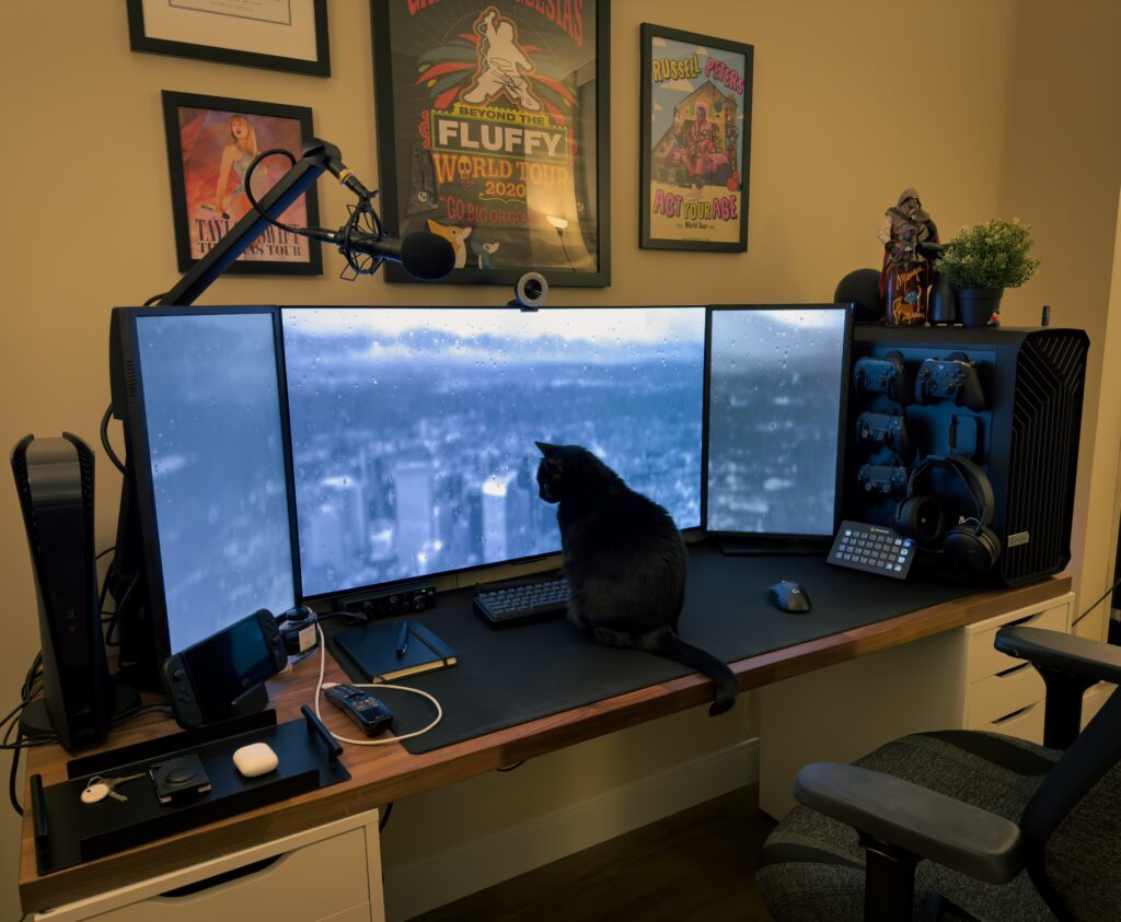 Does the cat count as a black peripheral? Does the cat count as a black peripheral?