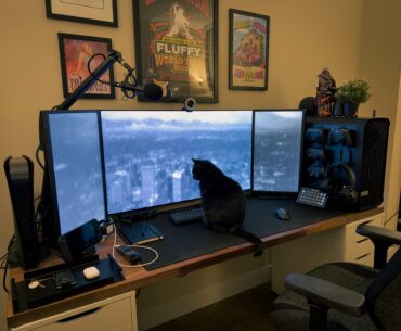 Does the cat count as a black peripheral?