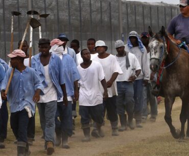 Mega Corporations Walmart and McDonald’s is found using prison slave labor in their supply chain.