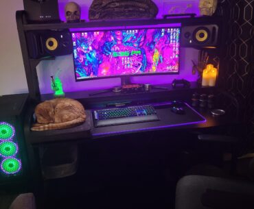 No station complete without a designated kitty zone.