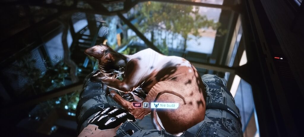 I have almost 300h in game. And its my first time finding this cat. Are there more of them that we can interact? Except cat in our apartament.