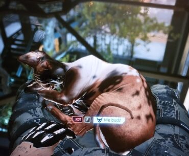 I have almost 300h in game. And its my first time finding this cat. Are there more of them that we can interact? Except cat in our apartament.