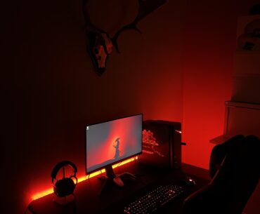 New setup with red dear
