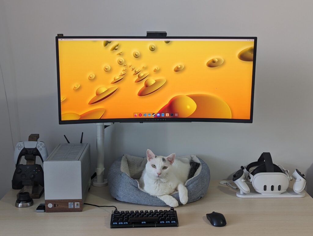 Rate my cat