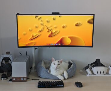 Rate my cat