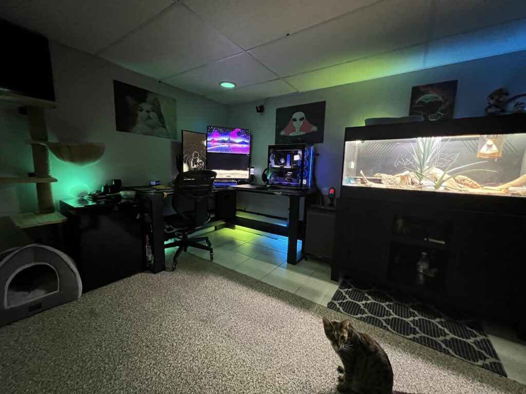 My setup