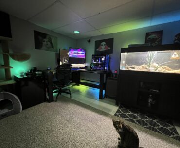 My setup