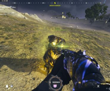 Rocket is my assistant for killing the storm caller (if he even spawns)