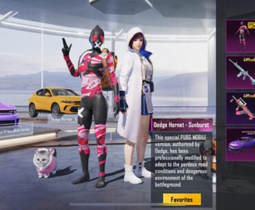 How i can report a skin bug?