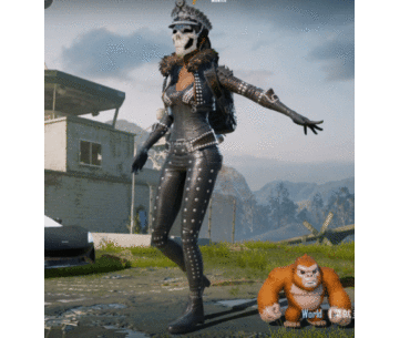 Anybody know the name of this outfit?
