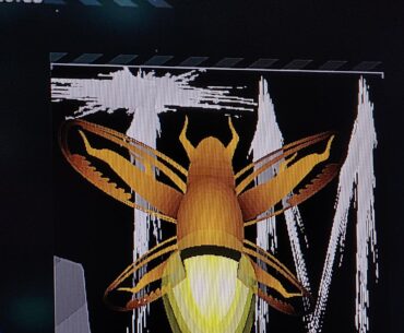 Noticed people sharing elblems so I booted it back up. (Terribly moist is the clan, fireflys was our theme song)