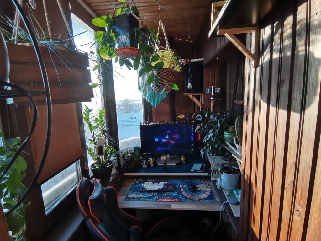 Hi, winter outside, flower inside