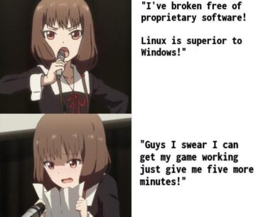 I use endeavouros btw