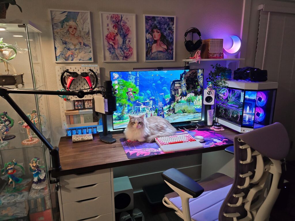 My setup ft. Skylar 🐱