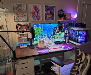 My setup ft. Skylar 🐱