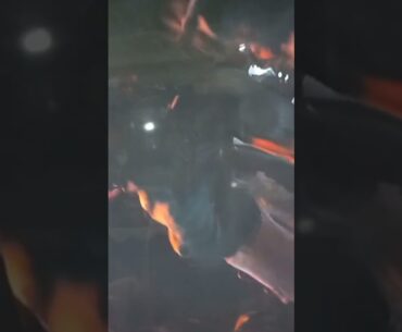 Call of Duty: WWII The effect is continuous.#gaming #gamer #videogames