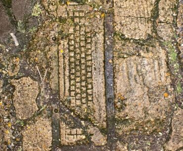 Fossilised Keyboard, England