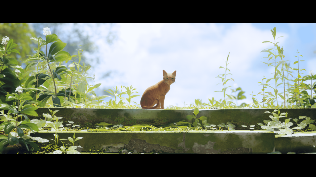 What a lovely simple experience (Stray)