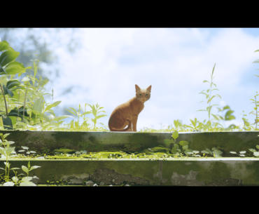 What a lovely simple experience (Stray)