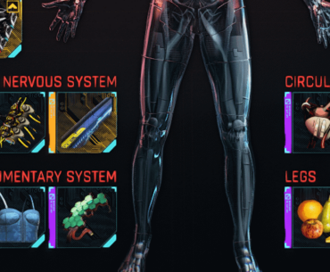 Has anybody else experienced the bug of having mismatched item icons since 2.11?