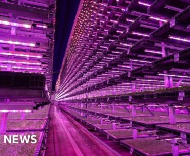 Vertical Farms