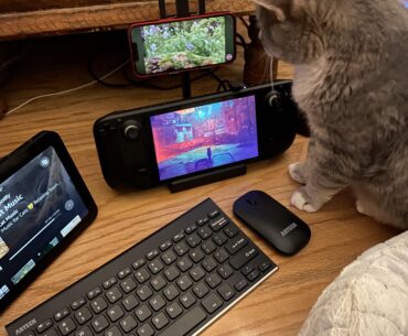 My cat’s battlestation. Her name is Sabrina.