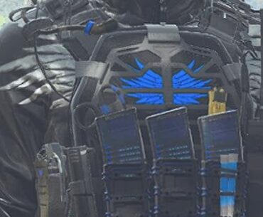 What skin is this?