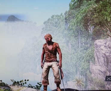 Assassin's Creed 4 Black Flag *Pirate GOAT*