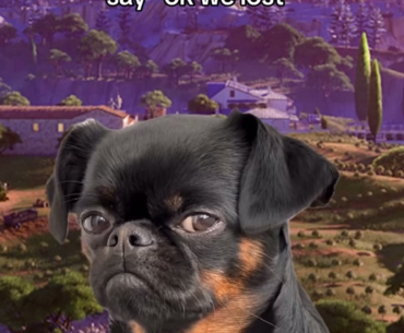 When you are the only one left and your teammates say “oke we lost”