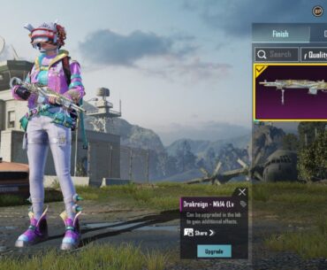 Weapon skin showing in lobby but not in game