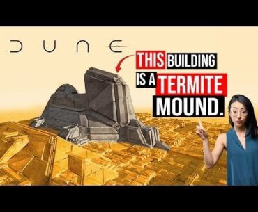 Dune Cities: Fiction Or Reality?