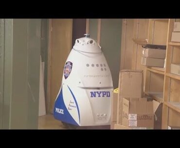 NYPD subway robot removed from service