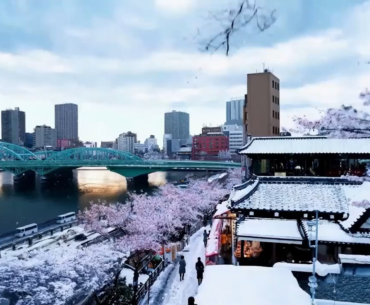 This video was generated by OpenAI’s upcoming text-to-video feature…