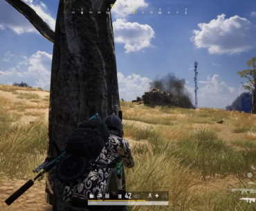 One in a million chicken dinner