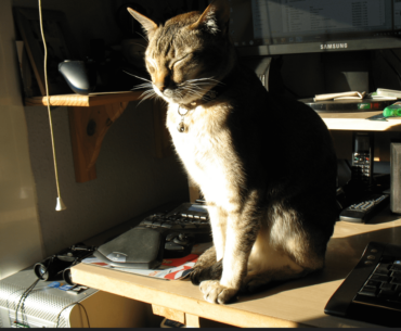 What's the weirdest thing that killed your PC