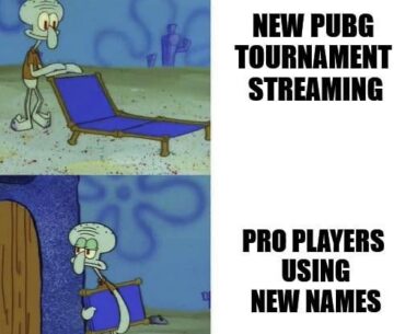 Because why have a pubg esports fans, right?