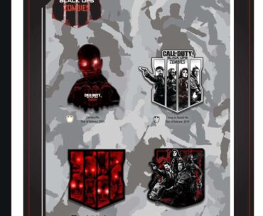 Does anyone have these pins?