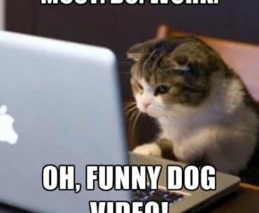 Me everytime I'm in the office.