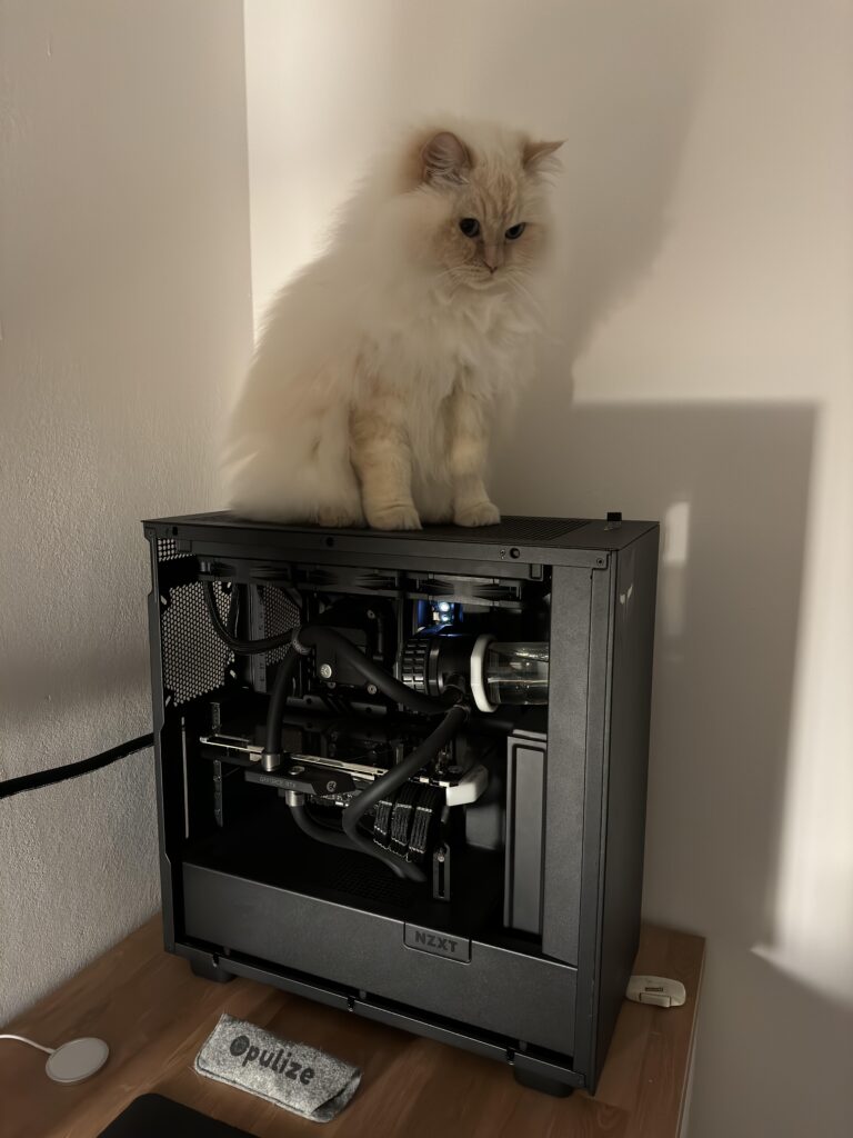 Gaming pc + gaming cat
