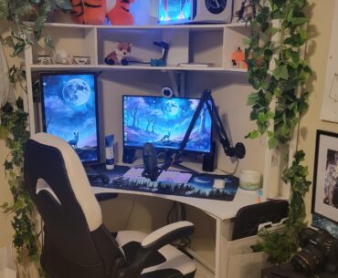 Wife's setup for live streaming.