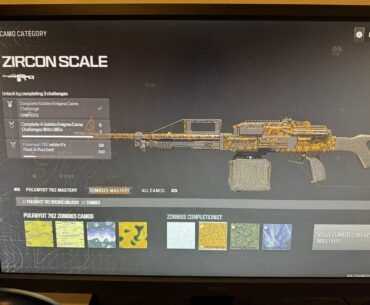 Camo glitched