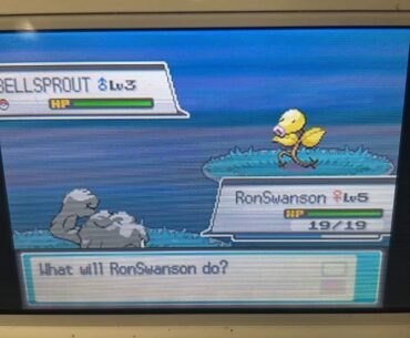 Playing a nuzlocke of SoulSilver. Ran into this while waiting for my husband to get off work.