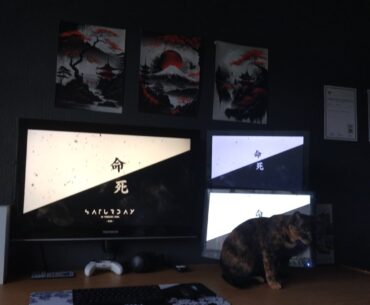 Setup for light gaming