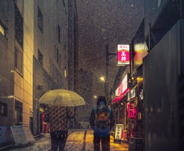 Tokyo Snow