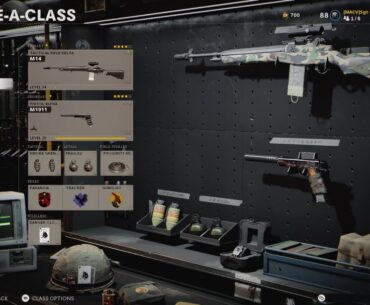 What do you guys think of my Load Outs?