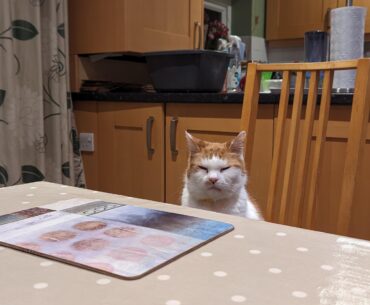 When you AFK the match cuz "Dinner is ready" and you get downstairs to see 8 minutes left on the oven timer